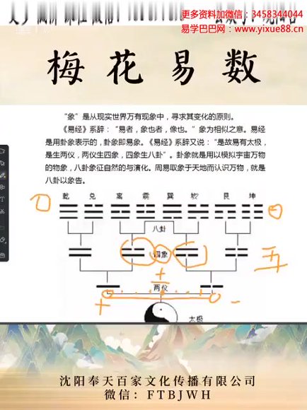 梅花易数课程合集(12套完整教程) 视频截图1