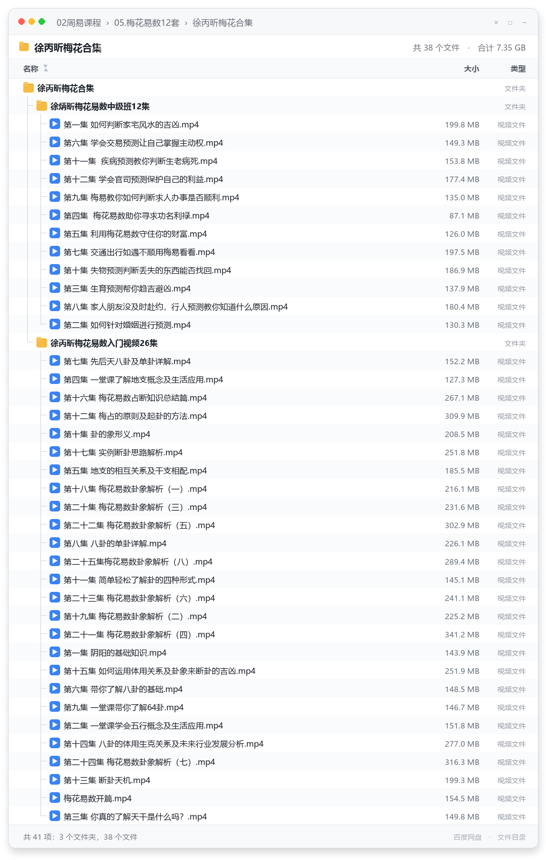 徐丙昕梅花合集 视频文件目录