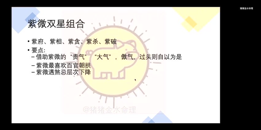 猪猪金水【视频+音频】