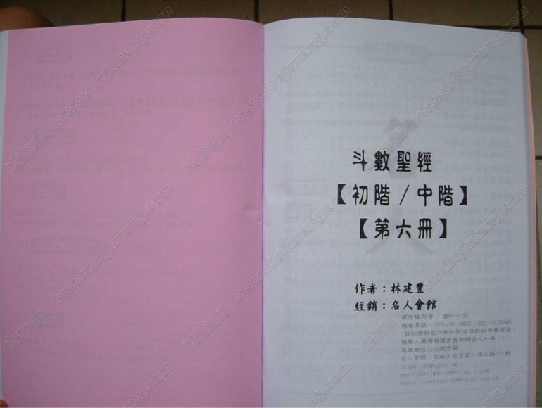 林建丰紫薇斗数【视频+文档】