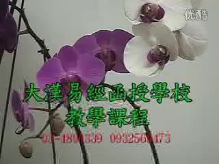 林耕平-净悦觇系统紫微斗数20集-国学易学资源分享