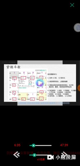 龙眠山人-紫微斗数完整版