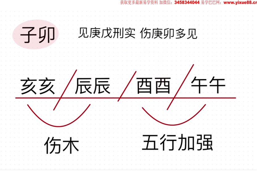 萤火虫