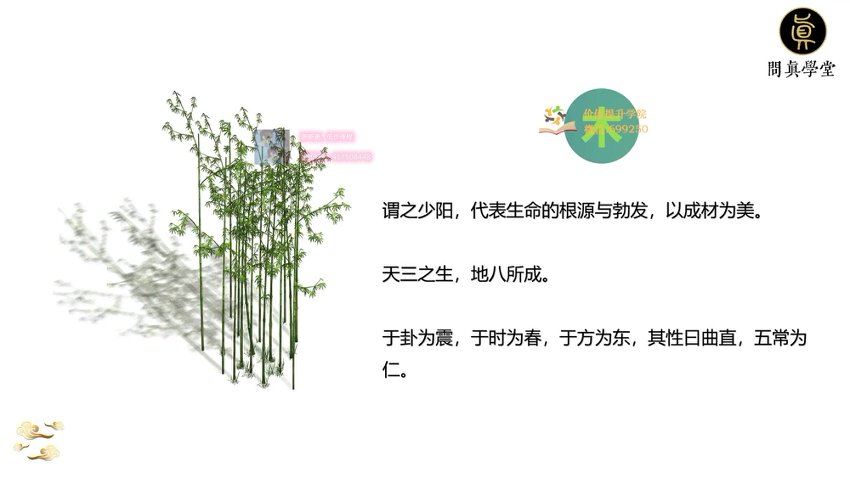 WW问真八字学堂
