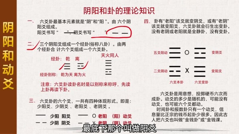 刘骏六爻初级课程30集-国学易学资源分享