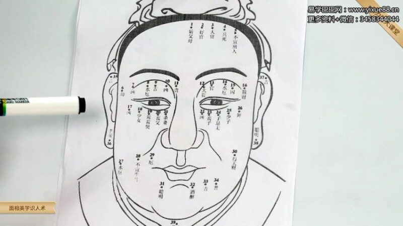 引力波大课堂 面相美学识人术 40集-国学易学资源分享