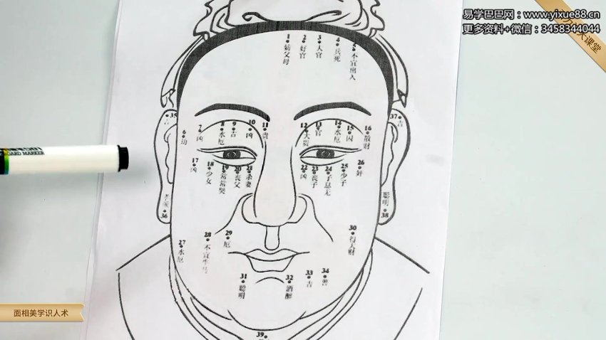 引力波大课堂 面相美学识人术 40集