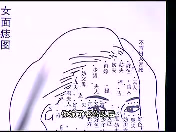 基础面相学讲座教学视频12集